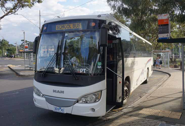 Panorama MAN 18.290 MCV Elite S120 9